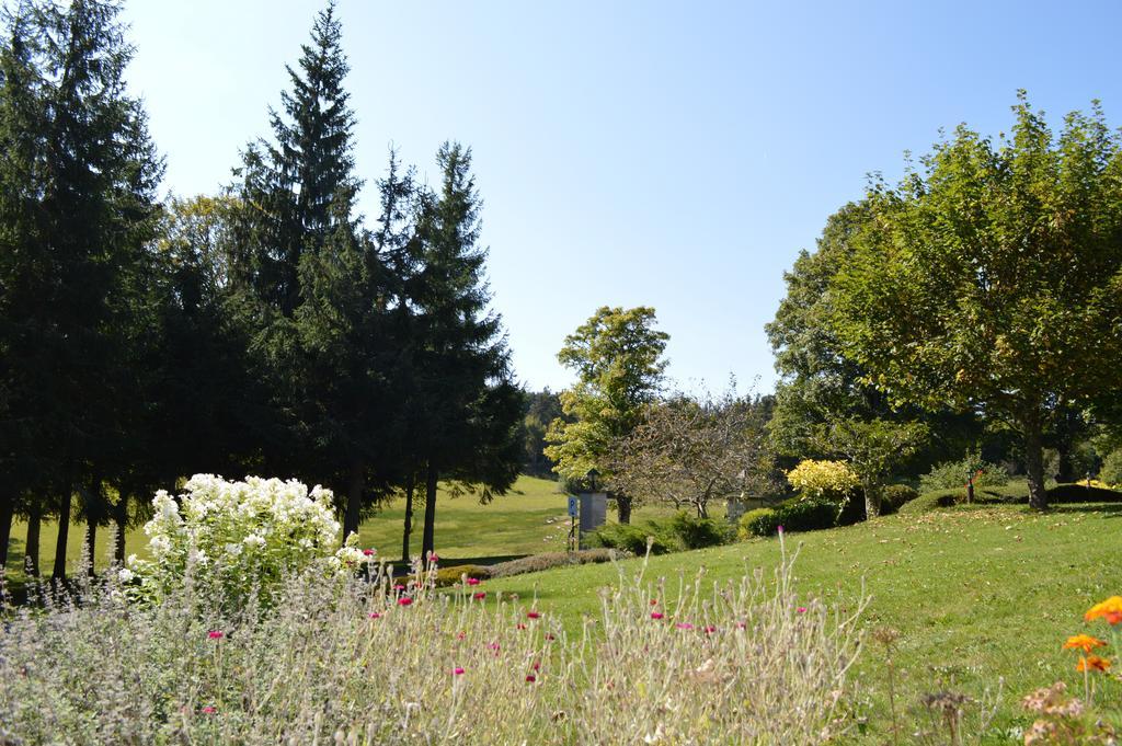 Logis Hotel Le Relais Du Bois Vialotte Le Chambon-sur-Lignon Luaran gambar