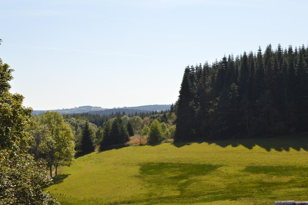 Logis Hotel Le Relais Du Bois Vialotte Le Chambon-sur-Lignon Luaran gambar