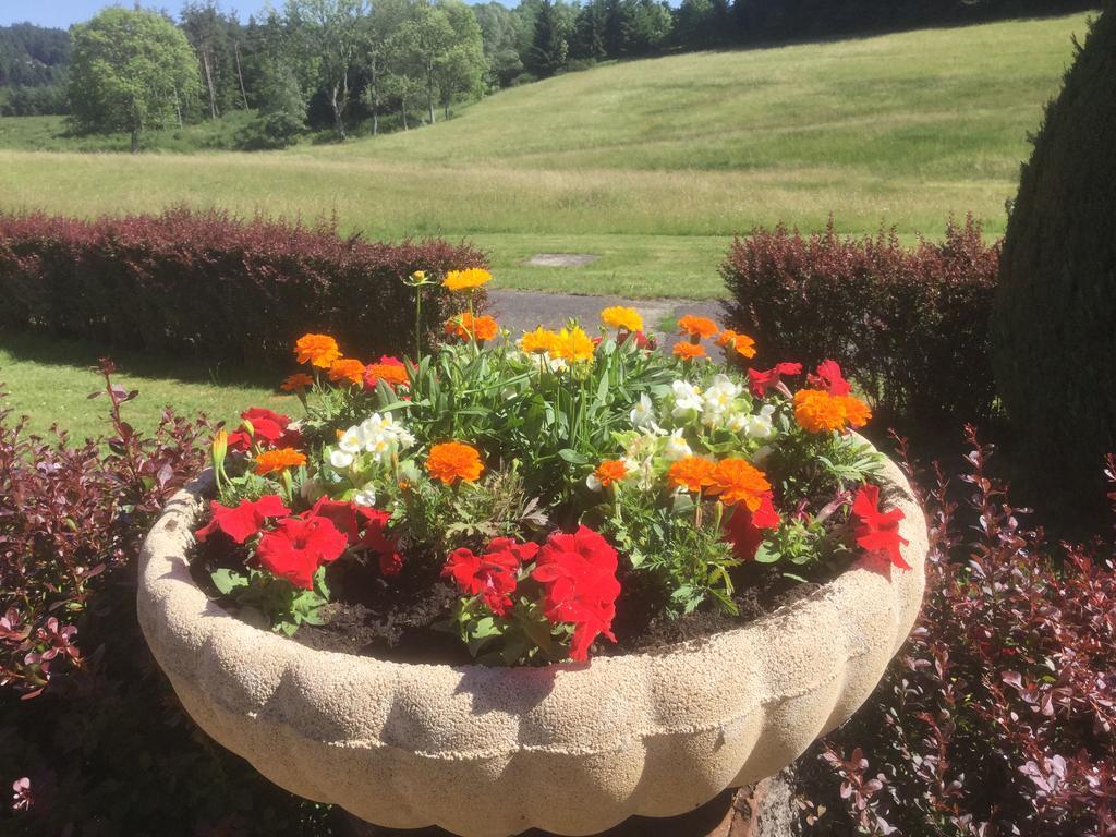 Logis Hotel Le Relais Du Bois Vialotte Le Chambon-sur-Lignon Luaran gambar